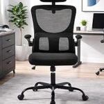 Ergonomic High-Back Mesh Office Chair, Black, with Adjustable Headrest, Lumbar Support, and Flip-Up Armrests (BLACK)